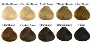 International Colour Charts For Hairdressing Hair And