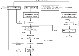 The Process Flow Chart Of Dbu Catalyzed Biodiesel Production
