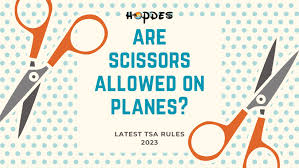 bring scissors on planes