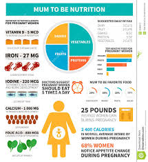 Pregnancy Nutrition Infographic Stock Vector Illustration