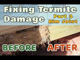 fixing termite damage part three rim