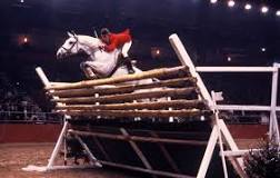 which-horse-can-jump-the-highest