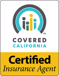 Covered Ca Agent Appointment Instructions Steve Shorr