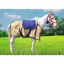 beige blue cotton horse rug sheet free