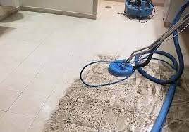 the 1 carpet cleaning in frisco tx