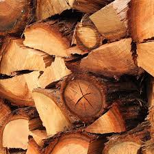 Wood To Burn In My Fireplace