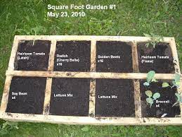 a single step square foot gardening