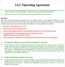 Llc Operating Agreement Template Word Doc 10 Sample Operating