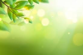 green nature images free on