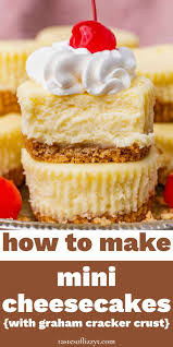 easy mini cheesecakes recipe tastes