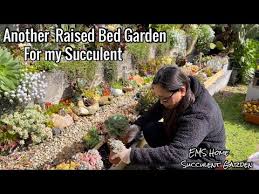 Making Another Succulent Bed Garden
