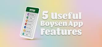 5 Useful Features In The Boysen App You