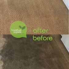 organic carpet cleaning in phoenix az