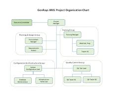 Mgt2 Project Organization Chart