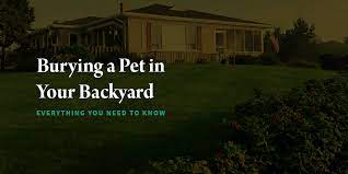 burying a pet in your backyard