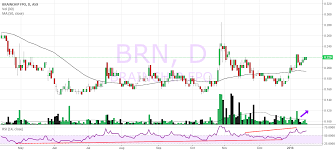 Brn Potential Breakout For Asx Brn By Nfury8 Tradingview