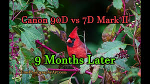 canon 90d vs 7d mark ii 9 months later