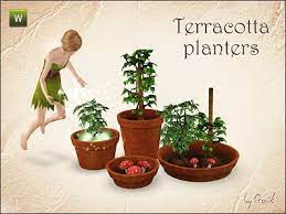 Terracotta Planters By Gosik