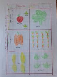 Planning A Vegetable Garden For Kids