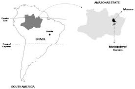 You are on page 1of 2. Geographic Localization Of The Municipality Of Careiro Amazonas Brazil Download Scientific Diagram