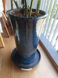 500 affordable plant pot ceramic for