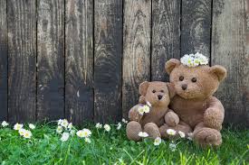 teddy bears background stock photos