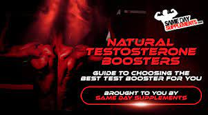 natural testosterone booster guide 2022