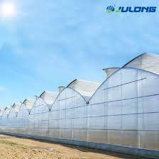 An orchid for a roof. China Arch Roof Type Cheap Greenhouse Orchid Greenhouse Pvc Pipe Greenhouse China Greenhouse Film Greenhouse