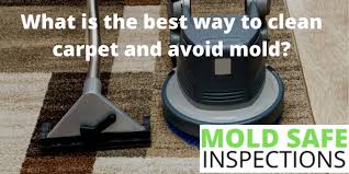 clean carpet and avoid mold