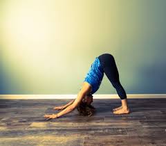 yoga ord ct bend yoga and wellness