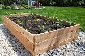how to build a raised garden bed the