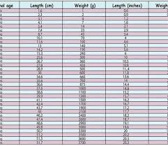 Fetal Growth Chart The Childrens Happiness Guide