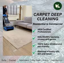 carpet deep cleaning office office