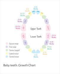 Veracious Baby Teeth Growth Chart Eruption Of Primary Teeth