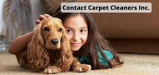 contact us carpet cleaners inc