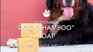 homemade dog shoo soap bar