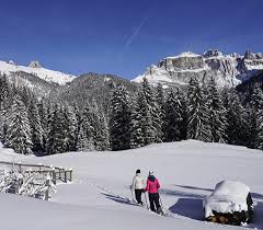 Hotel apartments accommodation and tourist information. Val Di Fassa Snowshoeing And Walking Itineraries