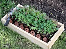 Vegetable Choices For The Small Garden