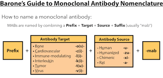 Mnemonics Pharmacology