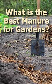 What Is The Best Manure For Gardens