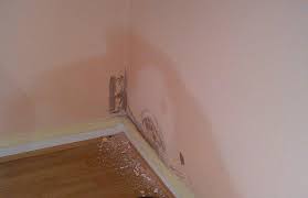 What Is Rising Damp How To Treat It