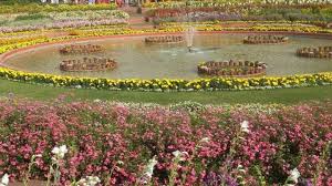 amrit udyan mughal garden delhi