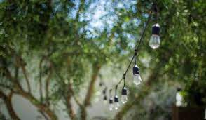 Outdoor Solar String Lights That Can