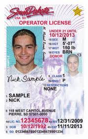 Types of driver licenses in new jersey. Https Dps Sd Gov Download File Force 510 452