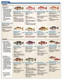 Florida Fish Regulations