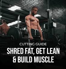 the ldnm cutting guide 2024 ldn muscle