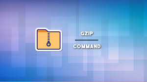 learn gzip command in linux with exles