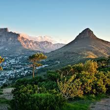 flights to cape town cpt etihad airways