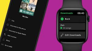 Here are some of the ways you can stream music online. Spotify Premium Users Can Now Download Music For Offline Listening On Apple Watch Technology News