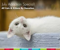 Our adoption centers in detroit, westland and howell are accepting walk ups for pet adoptions with the following restrictions. July Adoption Special All Cats Kittens By Donation Edmonton Humane Society
